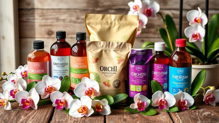 top orchid fertilizers 2026